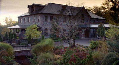 圣诞巴迪剧照的剧照