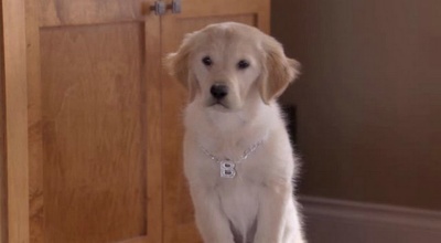 圣诞巴迪剧照的剧照