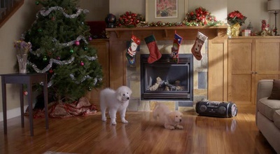 圣诞巴迪剧照的剧照