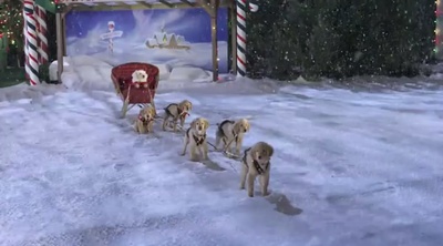 圣诞巴迪剧照的剧照