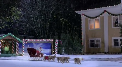 圣诞巴迪剧照的剧照