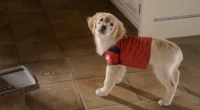 圣诞巴迪剧照的剧照