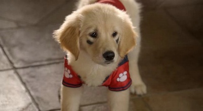 圣诞巴迪剧照的剧照