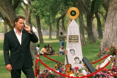 猫王不在了剧照的剧照