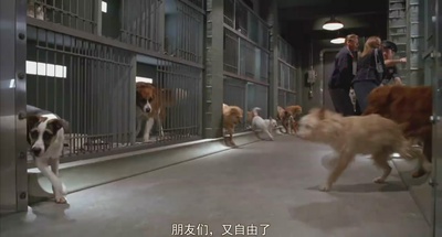 加菲猫剧照的剧照