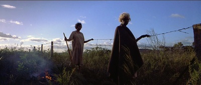 漫漫回家路剧照的剧照