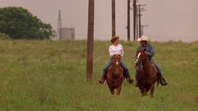 乐韵情缘剧照的剧照