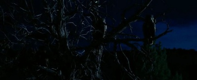 荒野寻踪剧照的剧照