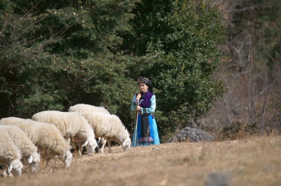 戎肯剧照的剧照