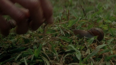 天堂之路剧照的剧照