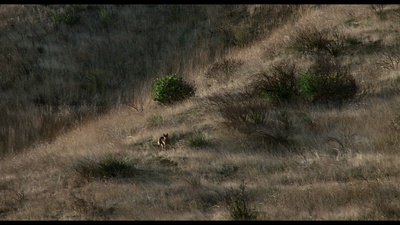 安然无恙剧照的剧照
