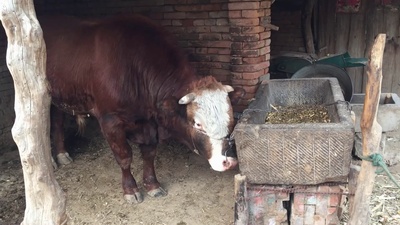 旧梦剧照的剧照