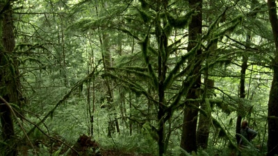 昨日欢愉剧照的剧照