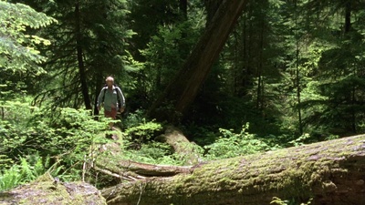 昨日欢愉剧照的剧照