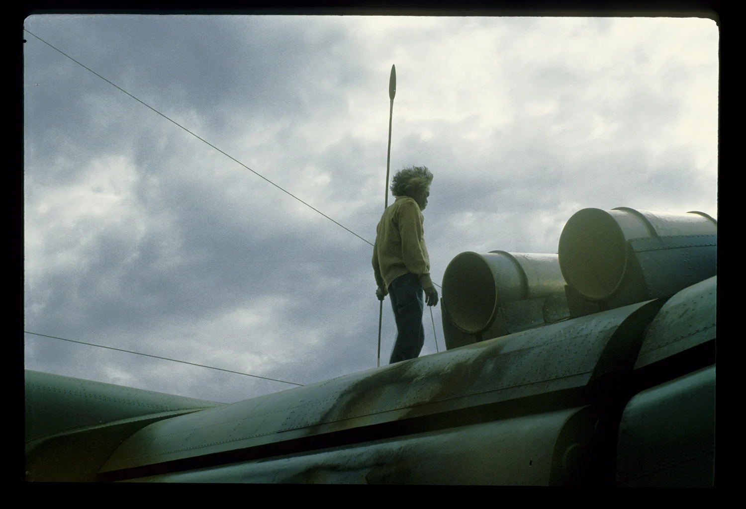 绿蚂蚁做梦的地方剧照的剧照