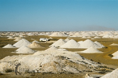 绿蚂蚁做梦的地方剧照的剧照