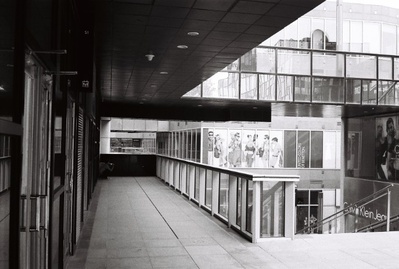 绿蚂蚁做梦的地方剧照的剧照