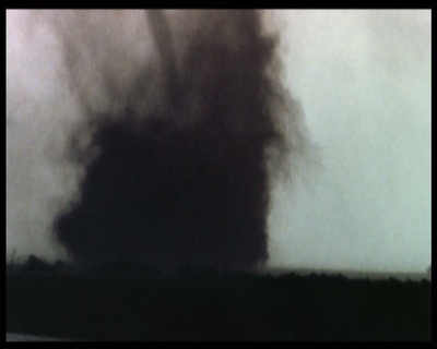 绿蚂蚁做梦的地方剧照的剧照