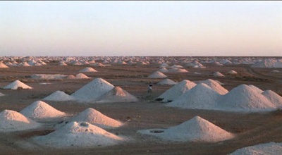 绿蚂蚁做梦的地方剧照的剧照