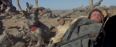 疯狂的麦克斯2剧照的剧照