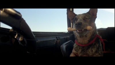 疯狂的麦克斯2剧照的剧照