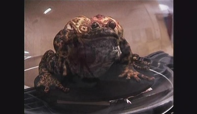 噩梦工厂剧照的剧照