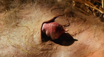 不十分好莱坞剧照的剧照