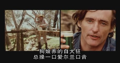 不十分好莱坞剧照的剧照