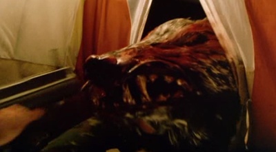 不十分好莱坞剧照的剧照