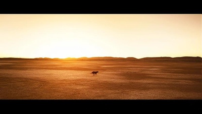 红犬历险记剧照的剧照