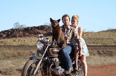 红犬历险记剧照的剧照