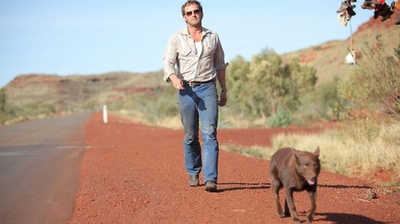 红犬历险记剧照的剧照