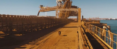 红犬历险记剧照的剧照