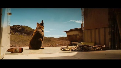 红犬历险记剧照的剧照