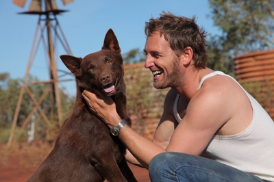 红犬历险记剧照的剧照