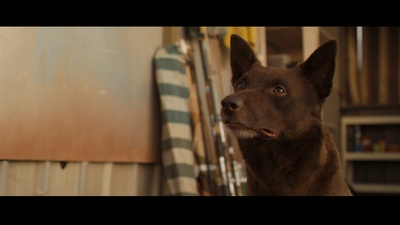 红犬历险记剧照的剧照