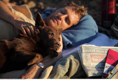 红犬历险记剧照的剧照