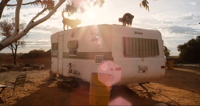 红犬历险记剧照的剧照