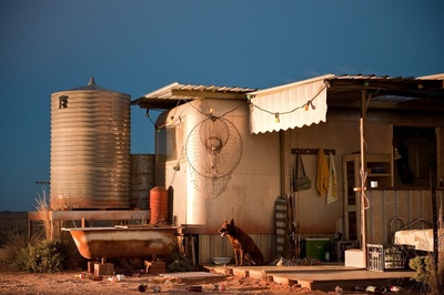 红犬历险记剧照的剧照