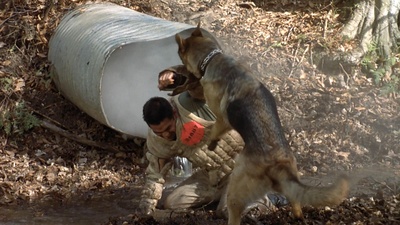 黑狱硬汉剧照的剧照