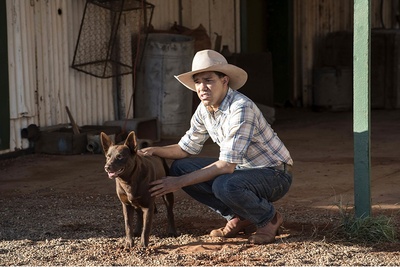 红犬历险记2：蓝犬剧照的剧照