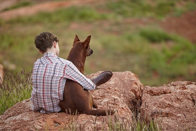 红犬历险记2：蓝犬剧照的剧照