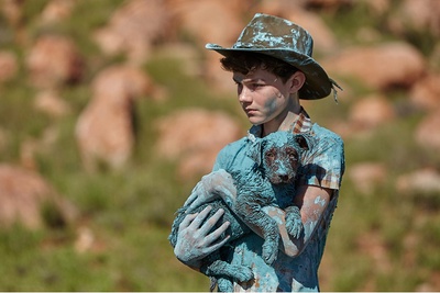 红犬历险记2：蓝犬剧照的剧照