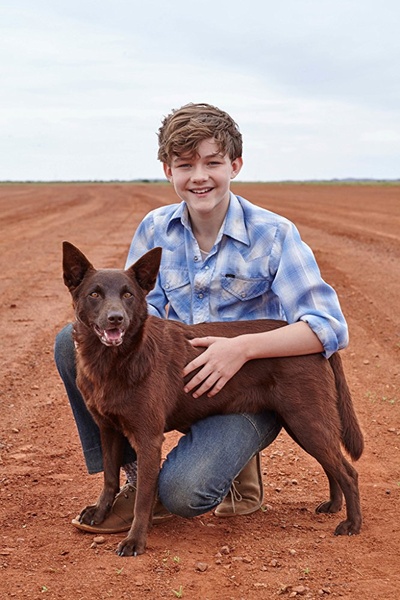 红犬历险记2：蓝犬剧照的剧照