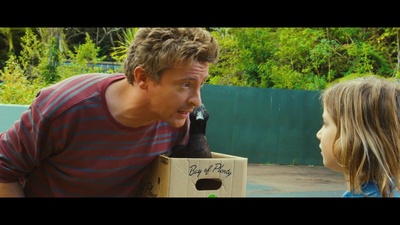 爱情鸟剧照的剧照