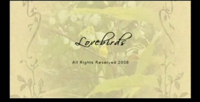 爱情鸟剧照的剧照