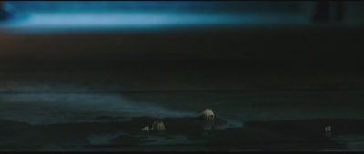 未定名加勒比海盗续作剧照的剧照