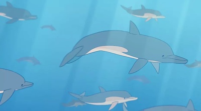 鲸梦剧照的剧照