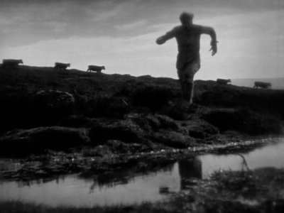 达特穆尔的小屋剧照的剧照