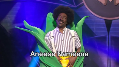 周六夜现场：艾迪·墨菲/莉佐剧照的剧照